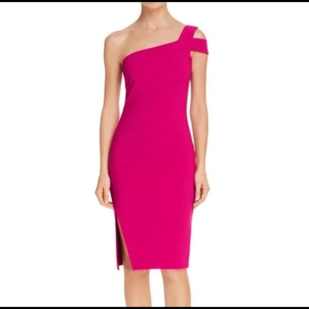 BNWT Likely Packard Dress